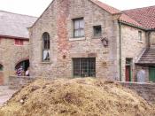 The court found the plaintiff had improved the manure by piling it up into heaps.