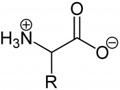 English: Amino acid betain structure (inner salt)