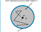English: Nuclear spin relaxation properties in a pore divided into bulk volume V and pore surface S.