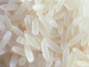 Uncooked, polished, white long-grain rice grains