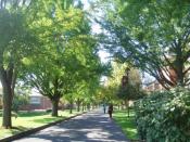 The Path at Susquehanna University