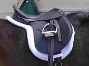 A hunt seat style saddle with shaped saddle pad, suitable for hunter and hunter under saddle classes, USA.