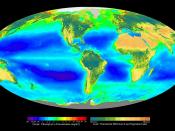 Composite image showing the global distribution of photosynthesis, including both oceanic phytoplankton and vegetation