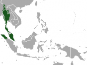 English: Lar Gibbon (Hylobates lar) range