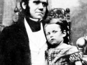 Charles Darwin (age 33) and his son William (notably the only picture known of Charles Darwin and another member of his family). Scanned from Karl Pearson, The Life, Letters, and Labours of Francis Galton. Daguerrotype originally from the 1842.