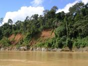 English: View of the upland tropical rain forests of Madre de Dios, Peru, June 2004. It should be included in the article: Amazon, Tropical rain forest, Peru