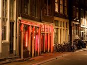 A view of two brothels in a small street in Amsterdam's Red-light district, also known as the 