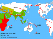 English: A Map of the spreading of Homo sapiens over the world, adapted from file Spreading homo sapiens.svg