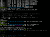 Screenshot of a sample Bash session, taken on an old release of Gentoo Linux.