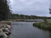 The source of the Mississippi River at the north end of Lake Itasca