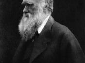 Charles Darwin, photographed by Julia Margaret Cameron