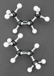 Chemical structures constucted with Prentice Hall Molecular Model Set for General Organic Chemistry