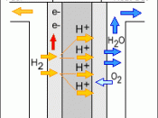 Diagram of a PEM fuel cell