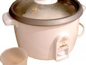 Inexpensive electric rice cooker containing cooked rice