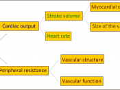 diagram explaining the physiology of arterial pressure