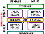 Gynephilia-androphilia-heterosexual-homosexual orientations diagram
