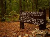Thoreau's quote near his cabin site, Walden Pond.