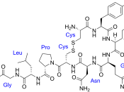 chemical structure of oxytocin with labeled amino acids