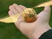 The Golden Snitch''.