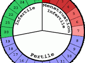 Lyrl created this image as a visual explanation of the Standard Days Method. The Standard Days Method works for women who always have menstrual cycles between 26 and 32 days in length. Avoiding sexual intercourse on the days labeled 'fertile' results in a