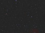 Christmas Tree Cluster and Rosette Nebula