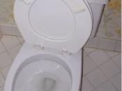 A toilet with the potentially dangerous arrangement of the seat being up