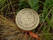 English: BLM Geodetic control point from 1950 in Colorado Deutsch: BLM Geodetic control point aus dem Jahr 1950 in Colorado