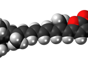 Space-filling model of the peridinin molecule, a carotenoid pigment used to harvest light from photosynthesis. Colour code (click to show) : Black: Carbon, C : White: Hydrogen, H : Red: Oxygen, O