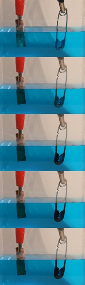 English: Five images illustrating the electroplating of a safety pin with copper via a copper sulphate solution. The copper electrode (left; positive, the annode) is the source of the copper which is then deposited on the safety pin electrode (right; nega
