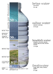 English: Graphic breakdown of water salinity, defining freshwater, brackish water, saltwater, and brine water.