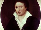 Percy Bysshe Shelley imbibed his radical philosophy from William Godwin's Political Justice. (Amelia Curran, 1819)