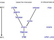 עברית: Bowen's reaction series שורת בואן