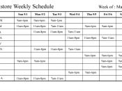 An example of a weekly workplace schedule