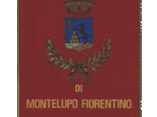 Coat of arms of Montelupo Fiorentino