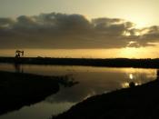 Sunset at the Bolsa Chica Wetlands, California
