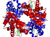 By Richard Wheeler (Zephyris) 2007. Created with pymol from PDB enzyme 1GZX. Category:Protein images