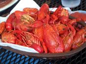 A meal of crawdads, Spring Break in New Orleans