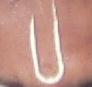 A picture of the caste-mark used by the Vadamas.