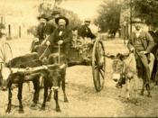 Gainesville, c. 1900.