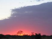 Sunrise in Botswana