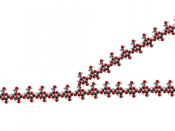 A view of the atomic structure of a single branched strand of glucose units in a glycogen molecule.