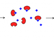 Saturation of enzyme active sites with substrate.