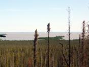 English: Great Slave Lake, Northern Bay, NWT, Canada
