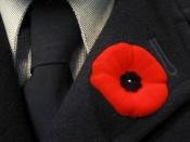 English: A remembrance poppy from Canada, worn on the lapel of a men's suit. In many Commonwealth countries, poppies are worn to commemorate soldiers who have died in war, with usage most common in the week leading up to Remembrance Day (and Anzac Day in 