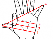 Some hand-derived units of measurement, including the Shaftment (1), Hand (2), Palm (3), Span (4), Finger (5) and Digit (6)