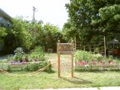 English: Neighbors participate in a community garden in the Martin Drive Neighborhood