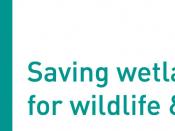 English: Logo of the charitable organisation the Wildfowl & Wetlands Trust