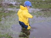 Child enjoys a puddle in Vancouver, B.C., Canada.