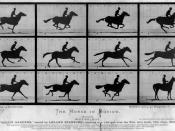 The Horse in Motion by Eadweard Muybridge. 