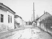 The main Sighet ghetto in May 1944 after the deportation of the Jews. 